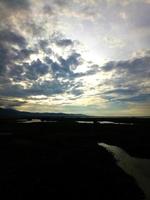 wild plants that grow on the banks of the river photo