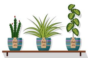 Room plants and flowers in pots on shelf with labels sale, discount 50 percent. Flat style vector illustration. Chlorophytum, dieffenbachia, cactus.