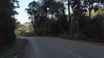 front driver view while traveling on the local road surround with pine trees high land forest in winter sunset time, traveling through pine forest video