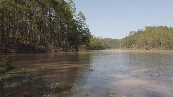 landscape panorama view of turquoise water lake in a mountain forest lake with pine trees. view of blue lake with Fresh water video