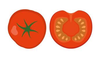 Red juicy fresh tomato, whole and sliced, isolated on white background. Vector illustration in flat style.