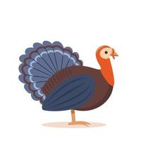 Turkey, bird. Concept design of farm animals - Turkey side view profile. Isolated turkey on white background, Vector Illustration.