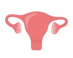 Uterus. Woman reproductive health illustration. Gynecology. Anatomy. Vector illustration.