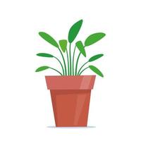 Cute green potted plant in flat style. Vector illustration.