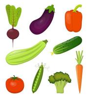 conjunto de verduras frescas, brillantes y coloridas, aisladas en blanco. remolacha, zanahoria, calabacín, berenjena, brócoli, pimiento dulce, tomate, pepino, guisantes. ilustración vectorial vector