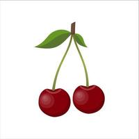 Cherry. Fresh berries isolated on white background, vector illustration in flat style.