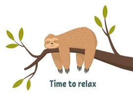 Cute sloth sleeping, resting on tree branch isolated on white background. Time to relax, concept vector illustration.