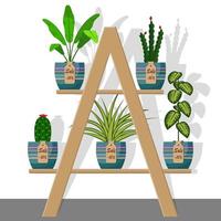 Room plants and flowers in pots on on rack with labels sale, discount 50 percent. Flat style vector illustration. Chlorophytum, dieffenbachia, cactus.