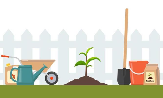 Just planted in the ground sprout and garden tools around. Seedling fruit tree with shovel, fertilizers and watering can. Illustration for agricultural booklets, flyers garden.