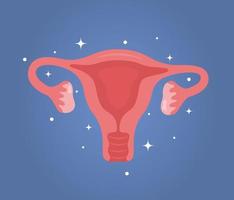 Uterus. Woman reproductive health illustration. Gynecology. Anatomy. Vector illustration.