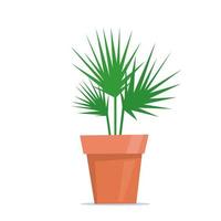 Cute green potted plant in flat style. Vector illustration.