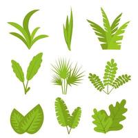 Plants, leaves, branches, bushes and pots, set. Flat vector illustration.
