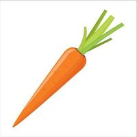 Fresh orange carrot icon isolated on white background. vector