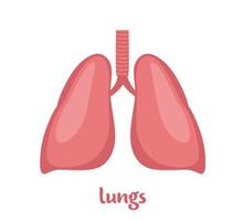 Lungs - human internal organ. Internal organ, anatomy. Vector flat icon illustration isolated on white background.
