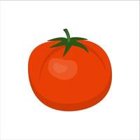 Red juicy fresh tomato isolated on white background, vector illustration in flat style.