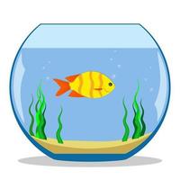 Colorful exotic fish in a fishbowl with seaweed and sand on the bottom. Vector illustration, flat.