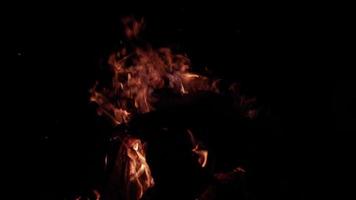 le feu au ralenti engloutit les bûches de bois sur le feu de camp - brûlant, flamme video