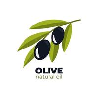 Black olives. Olive logo. Olive branch. Black branch of olives for design of natural cosmetics, olive oil, medicine. Organics for a healthy lifestyle. Vector illustration.