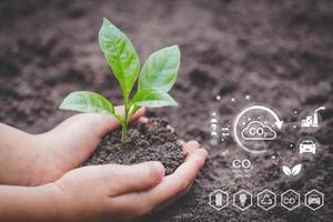 Technology environment, Hand planting trees with technology of renewable resources to reduce pollution ESG icon concept in hand for environmental, social and sustainable business governance. photo