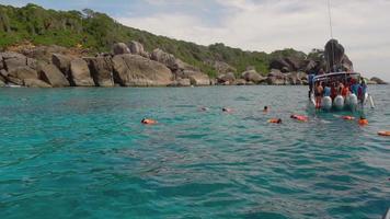 ilhas similan, tailândia 24 de novembro de 2016 - mergulho perto da ilha de ko miang, ilhas similan, tailândia video