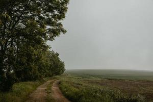 Dirt road on the edge of the field with trees and bushes on the other side leading to the fog in background photo