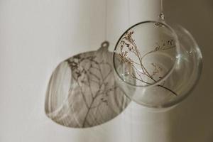 Twig inside of hanging glass ball against white wall with shadow behind photo