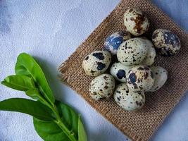 Quail eggs from quail, a collection of quail eggs on a wooden plate against a white wall background photo