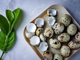 Quail eggs from quail, a collection of quail eggs on a wooden plate against a white wall background photo