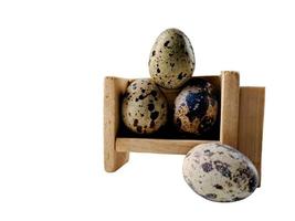 Quail eggs from quail, a collection of quail eggs on a wooden plate with isolated white background photo