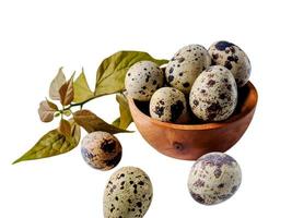 Quail eggs from quail, a collection of quail eggs on a wooden plate with isolated white background photo