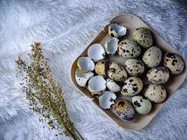 Quail eggs from quail, a collection of quail eggs on a wooden plate with a white feather blanket background photo