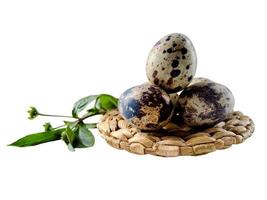 Quail eggs from quail, a collection of quail eggs on a wooden plate with isolated white background photo