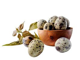 Quail eggs from quail, a collection of quail eggs on a wooden plate with isolated white background photo