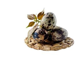 Quail eggs from quail, a collection of quail eggs on a wooden plate with isolated white background photo