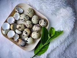 Quail eggs from quail, a collection of quail eggs on a wooden plate with a white feather blanket background photo