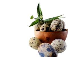 Quail eggs from quail, a collection of quail eggs on a wooden plate with isolated white background photo