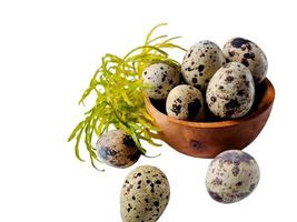 Quail eggs from quail, a collection of quail eggs on a wooden plate with isolated white background photo