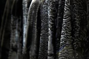 A close up of a fur coat from a natural fur of astrakhan of different colors  brown, gray and black, hang in one row in the store photo