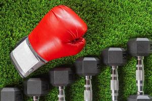 Dumbbells, boxing gloves photo