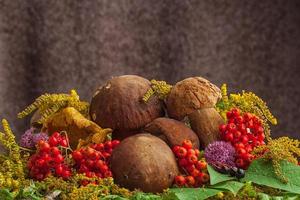 Autumn still life of mushrooms photo