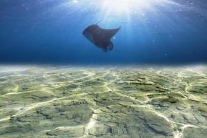 desenfoque azul transparente borroso bajo la textura de la superficie del agua con salpicaduras y burbujas. fondo de naturaleza abstracta de moda. olas del océano a la luz del sol con espacio de copia. azul uder mar acuarela brillante foto