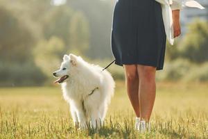 Close up view. Woman with her dog is having fun on the field at sunny daytime photo