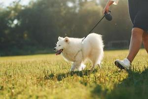 Close up view. Woman with her dog is having fun on the field at sunny daytime photo