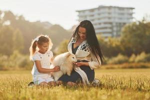 Playful mood. Woman and little girl have a walk with dog on the field at sunny daytime photo