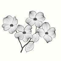 Hand drawn flower in floral style isolated on white background vector