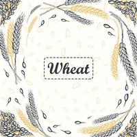 Hand drawn Wheat Background with wheat ripe spikelet isolated on white background vector