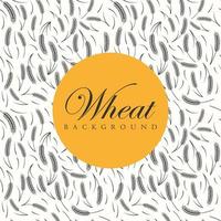 Hand drawn Wheat Background with wheat ripe spikelet isolated on white background vector