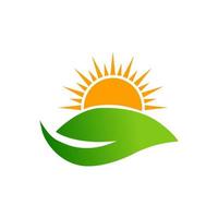 naturaleza sol hoja vector logo