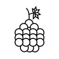 Unique Grapes Vector Line Icon