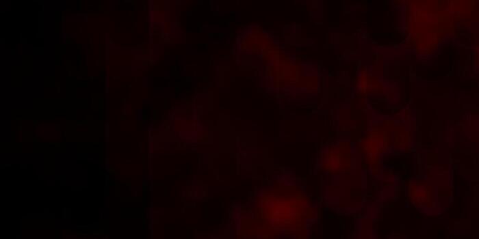 patrón de vector rojo oscuro con líneas.